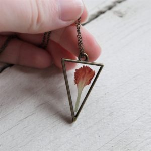 Carnation Triangle Bronze3 (2)