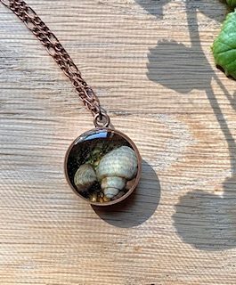 River Shell w/ Moss Necklace